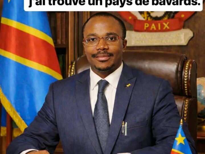 Il lutte depuis des années, pour le salut d&rsquo;un Pays abîmé et détruit par les bavards et anarchistes (Portrait de Emery Damien KALWIRA).