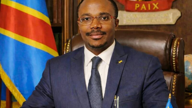 Il lutte depuis des années, pour le salut d&rsquo;un Pays abîmé et détruit par les bavards et anarchistes (Portrait de Emery Damien KALWIRA).